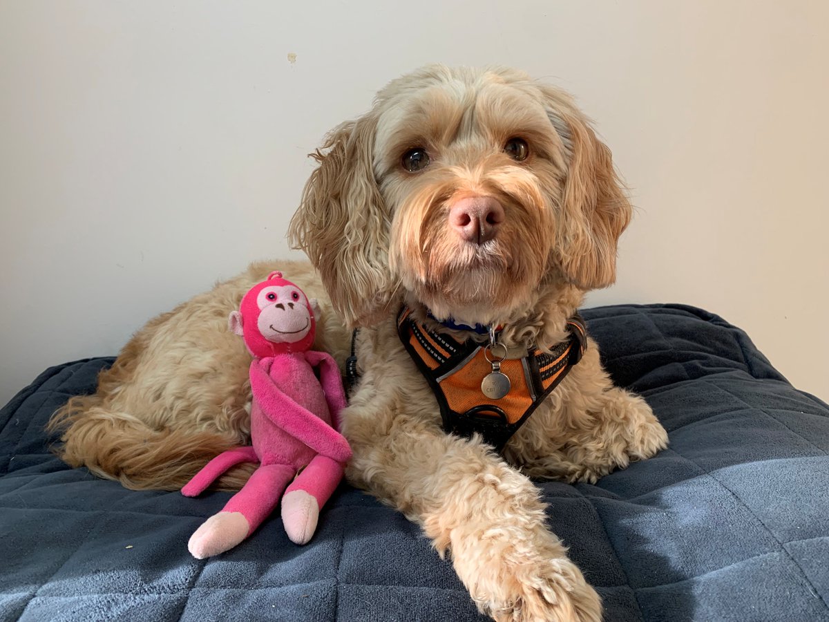 Urostomy Association tweet media