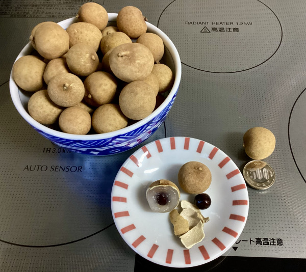 藤木 染 tweet media