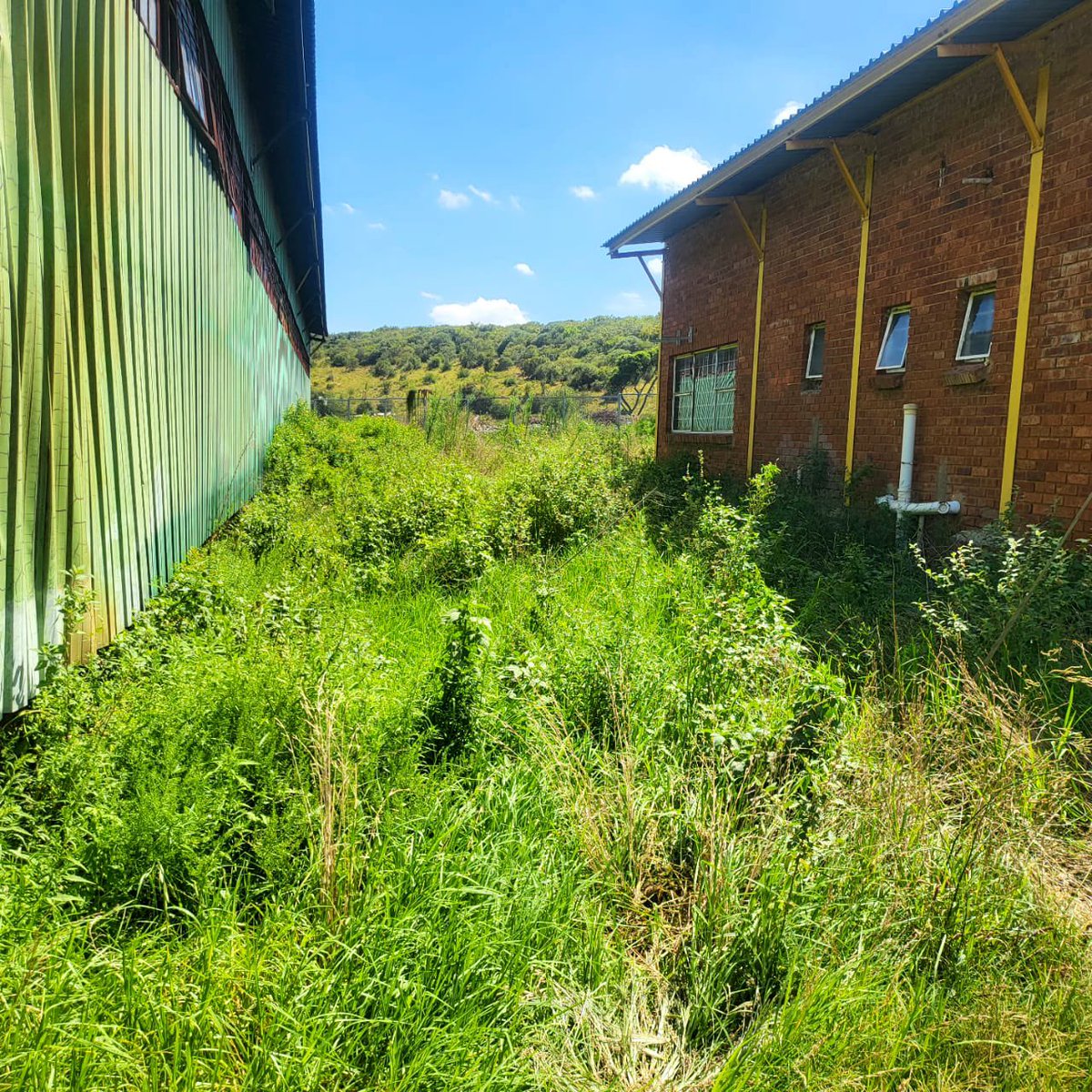 ♦️In Pictures♦️

The EFF Mangaung Metropolitan Municipality Caucus, together with Provincial Chairperson Cmsr <a href="/Liphoko_Coach/">Coach Liphoko</a> conducted oversight visits to the landfill sites in Mangaung.

This is the Southern Landfill site, in the southern part of the Township. 

What we
