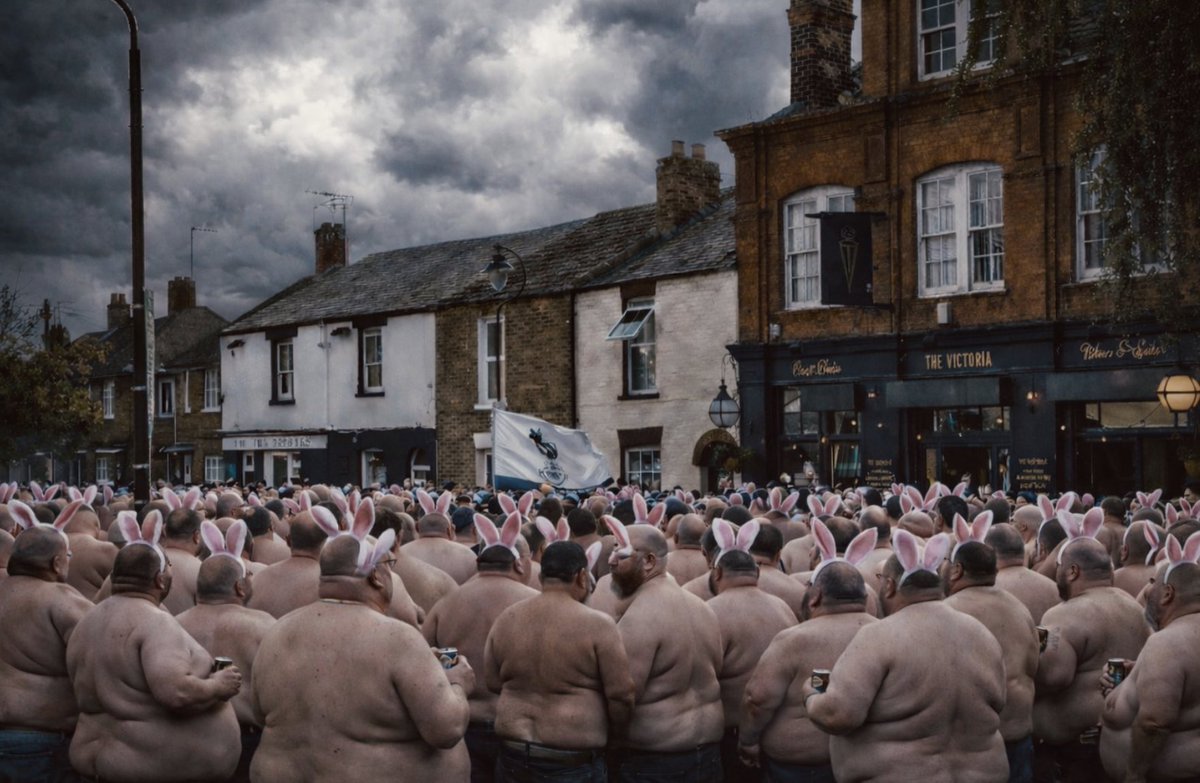 Return of the Shelf tweet media