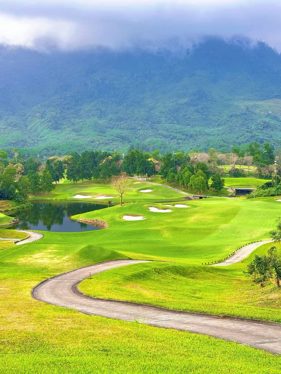 Firebroo (@firebroo) on Twitter photo 