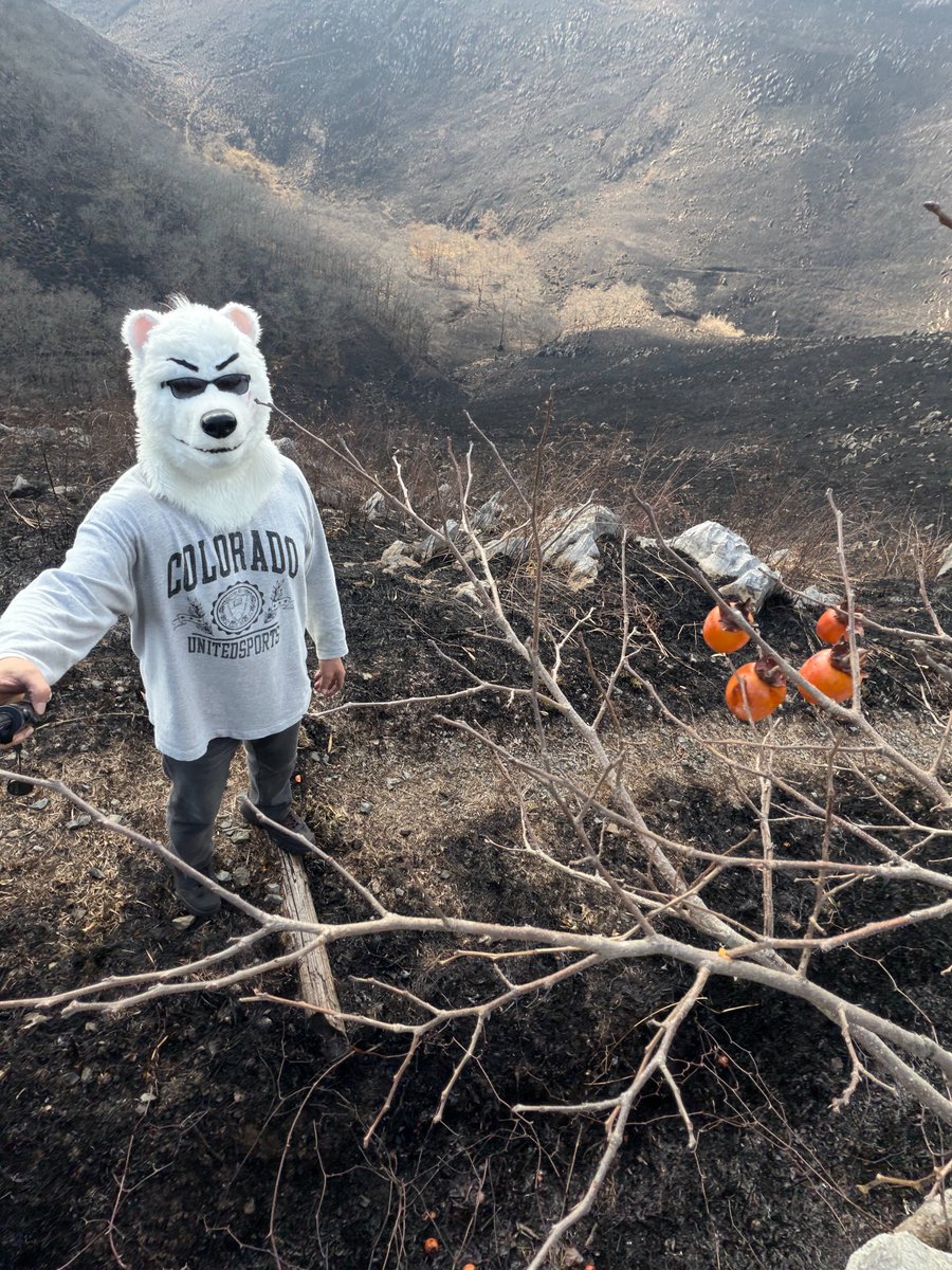 こうじ。 (@ModokiKouji) on X