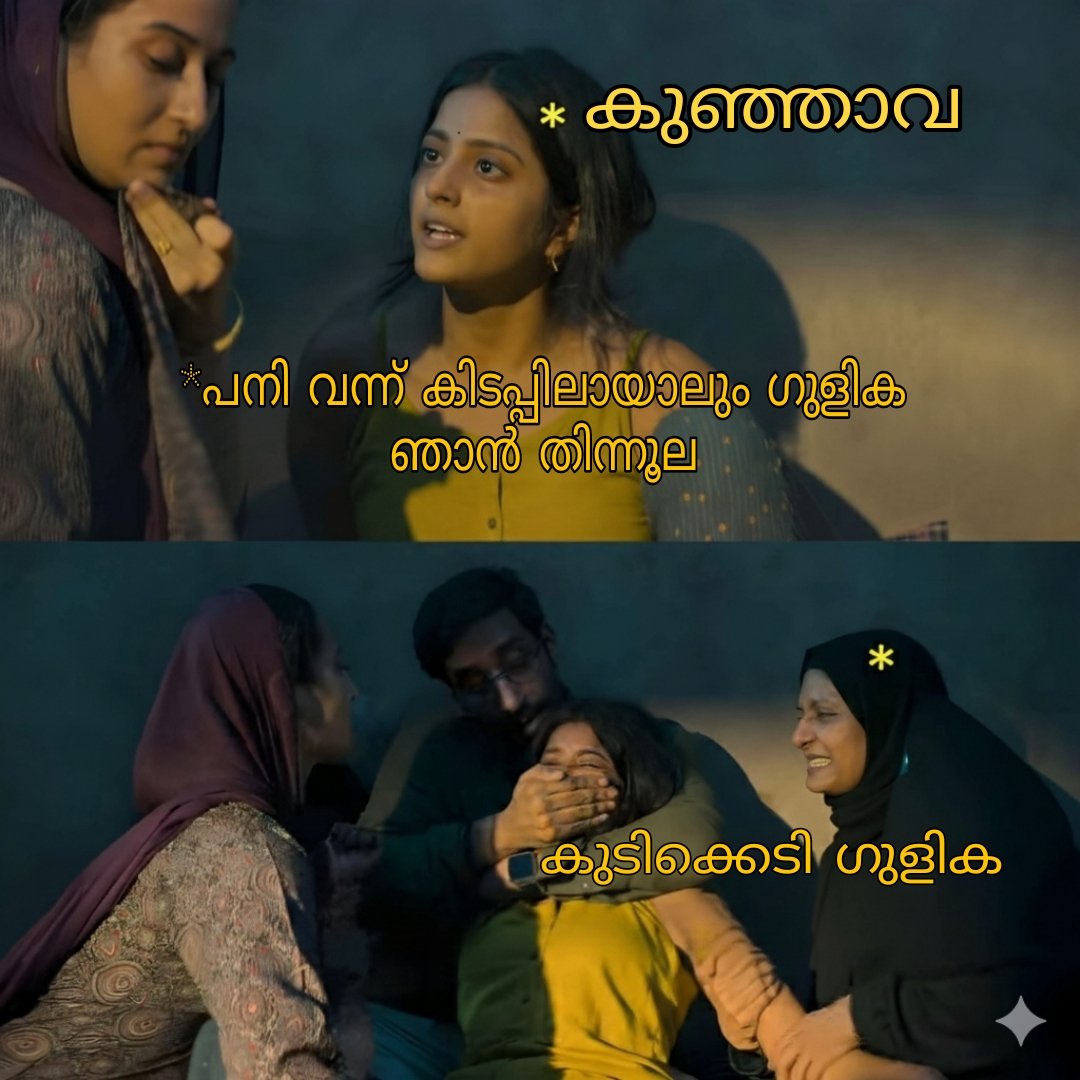 As a malayali I am saying thanks to #KeralaStory2 makers for giving a meme😁