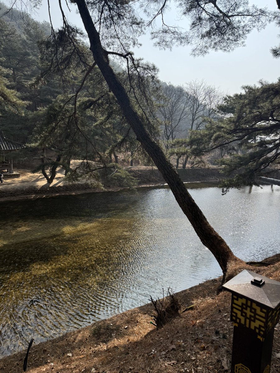〈 왕과 사는 남자〉 …😭
제가 어디서부터 울었는지 아시면 깜짝;; 놀라실걸요;;; 설에 소수서원, 피끝마을 다녀온게 영화 때문은 아니었는데… 그냥 눈물이 죽죽
지훈옵의 눈 그냥 그게 서사야…