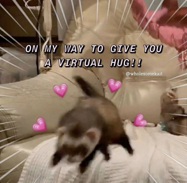 Riera | リエラ | Vampire Vtuber 🍷🧄 RETURNING 27 FEB tweet media