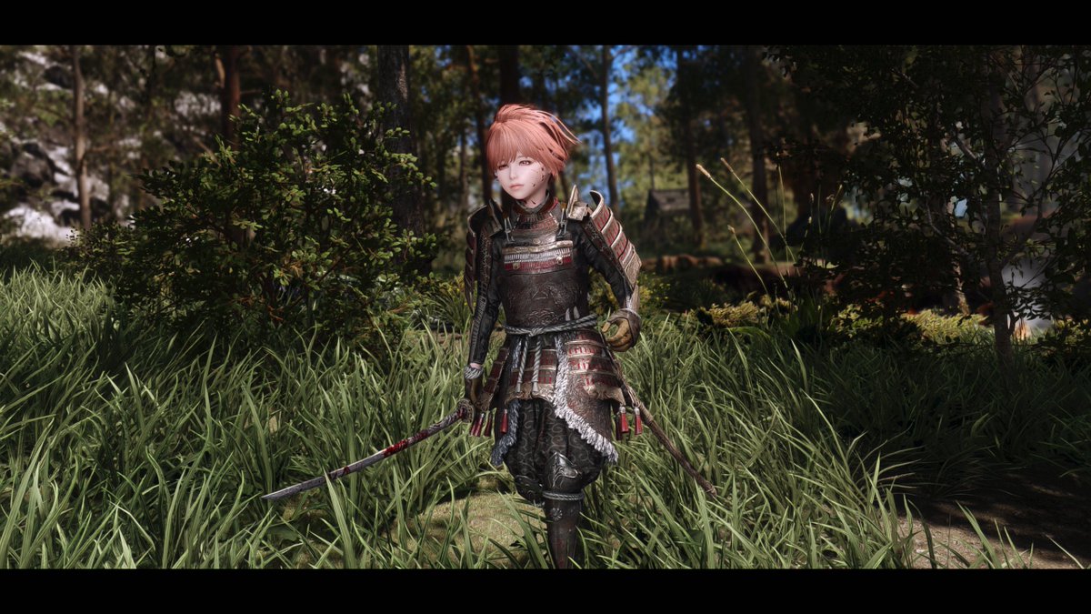 やっぱりすごくいい、この鎧
すごくいいの
＃SkyrimSE #Tg_r1m