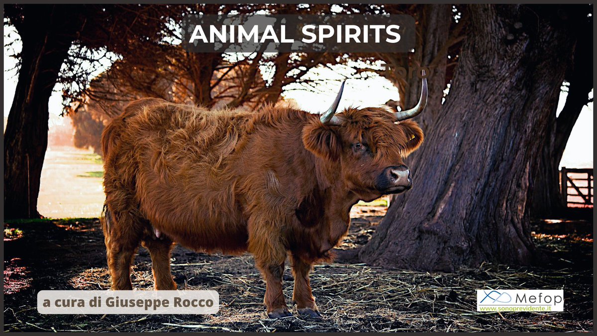 MEFOP's tweet image. La #previdenzacomplementare si basa sulla capitalizzazione. Serve consapevolezza per costruire la propria integrazione pensionistica, senza lasciare spazio alla improvvisazione. La riflessione nell'ultimo numero di Animal Spirits #sonoprevidente
👉sonoprevidente.it/news/notizie/a…