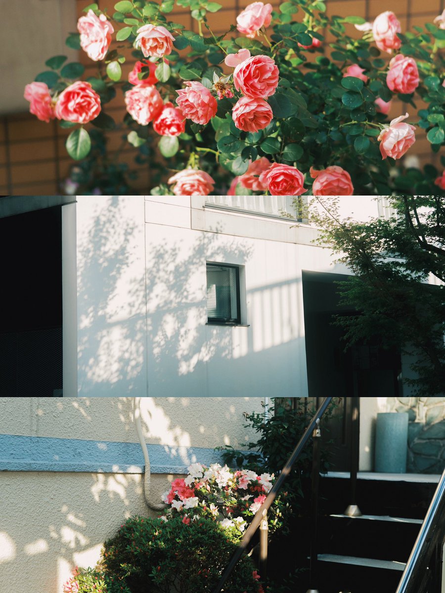 Kimura Hinami (@hinamin012) on Twitter photo 