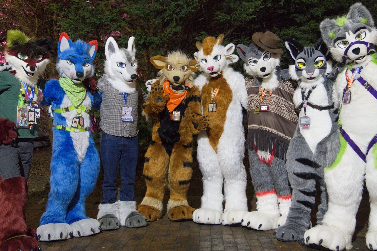 Cub 🇬🇧 🇺🇲 tweet media