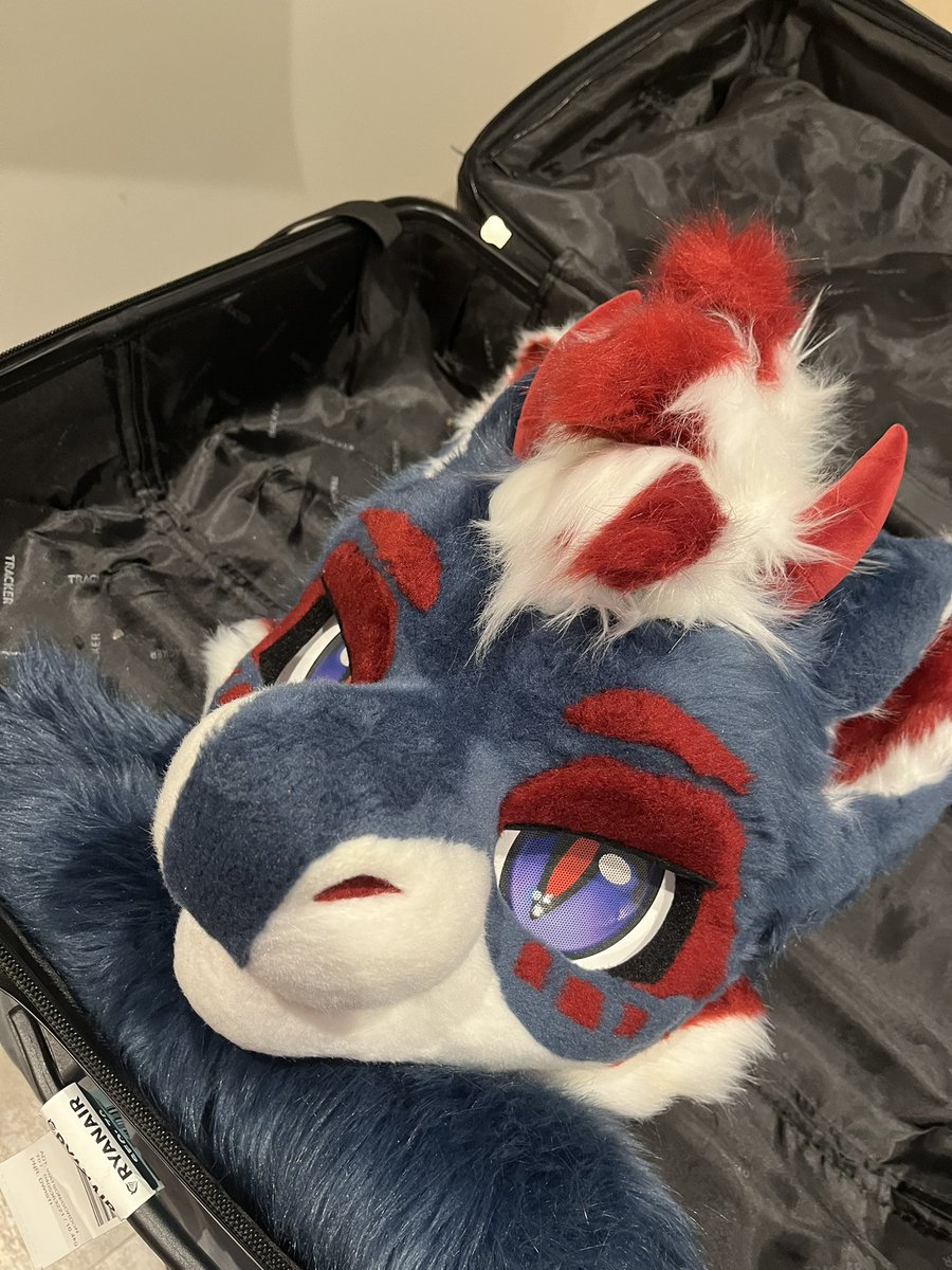 Avro🍁 tweet media