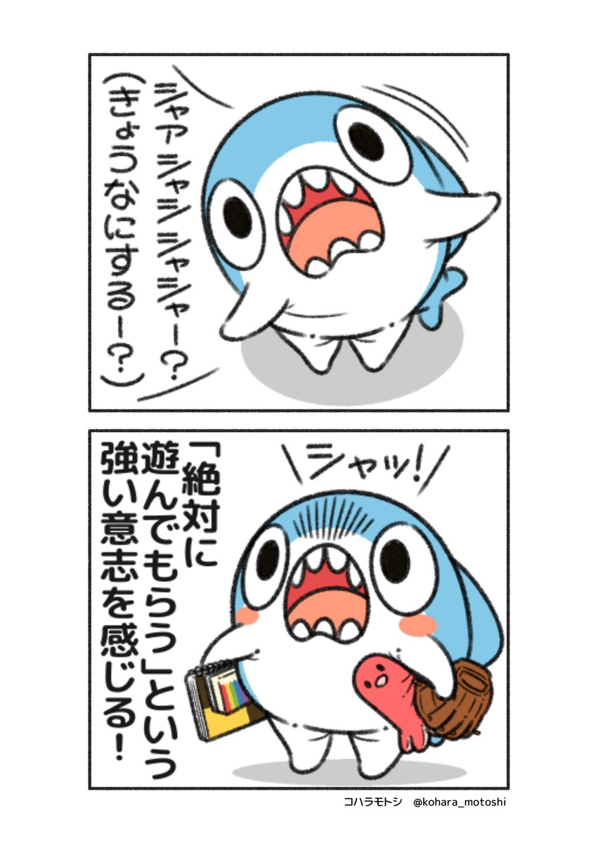 ちいさめ（手乗りサイズの小さなサメ） (@chiisame_0910) / Posts / X