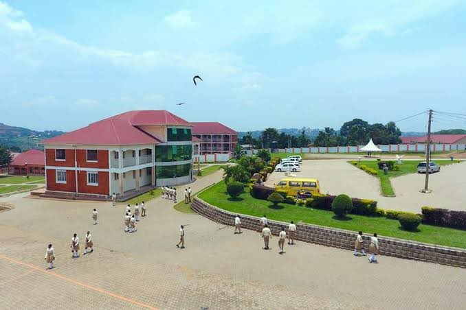 first son 🇷🇼 🇺🇬 tweet media