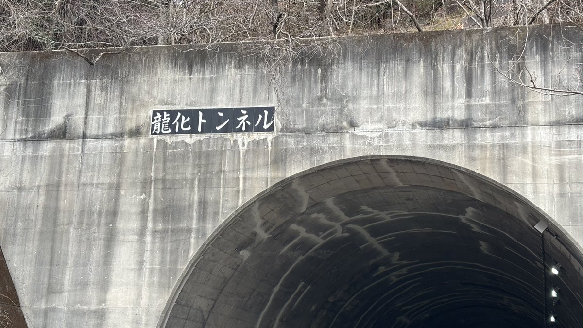 それとこれは通ると龍化してしまうらしい、恐るべき性癖トンネル