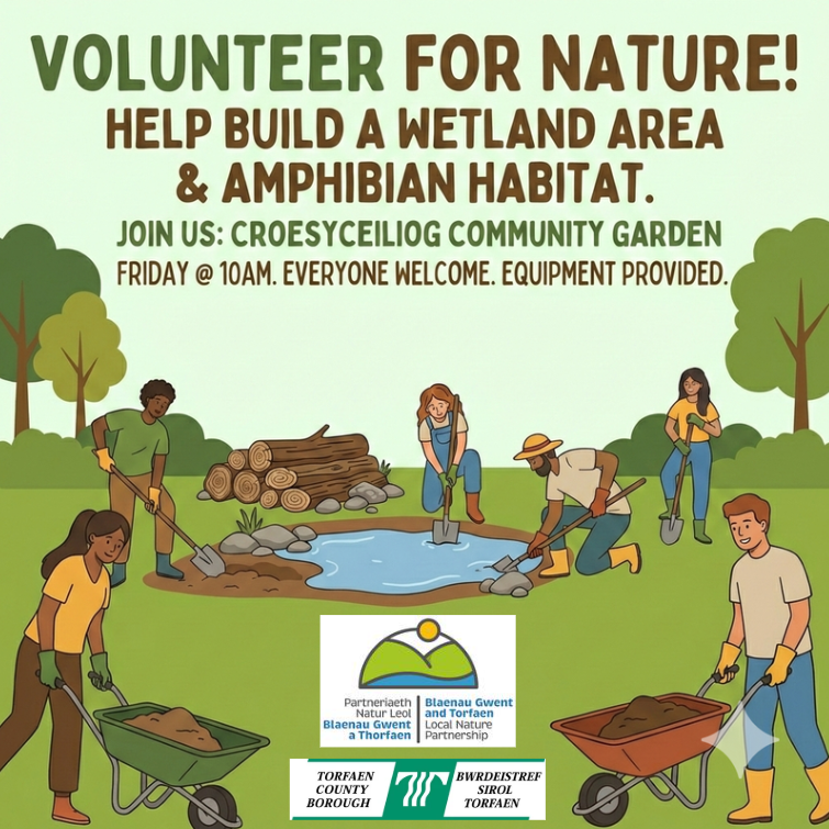 BGandTorfaenLNP tweet media