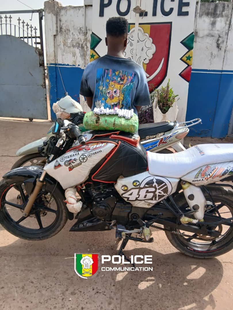 PoliceNationSN's tweet image. #Kolda 
Ce 17 février, deux opérations majeures ont permis de saisir 44,1 kg de chanvre indien.
1️⃣ 41,6 kg interceptés sur une moto TVS après un refus d'obtempérer face aux Eaux et Forêts. 2️⃣ Quartier Sare Kémo : Un dealer interpellé en flagrant délit avec 2,5 kg et 19 cornets.