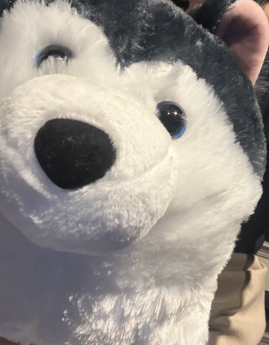 軟体ｶﾓﾀｺﾈｷﾞ tweet media