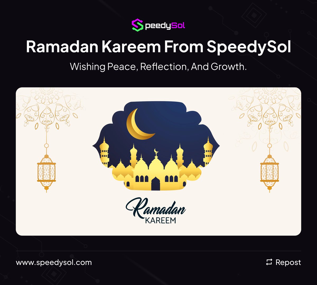 SpeedySol tweet media