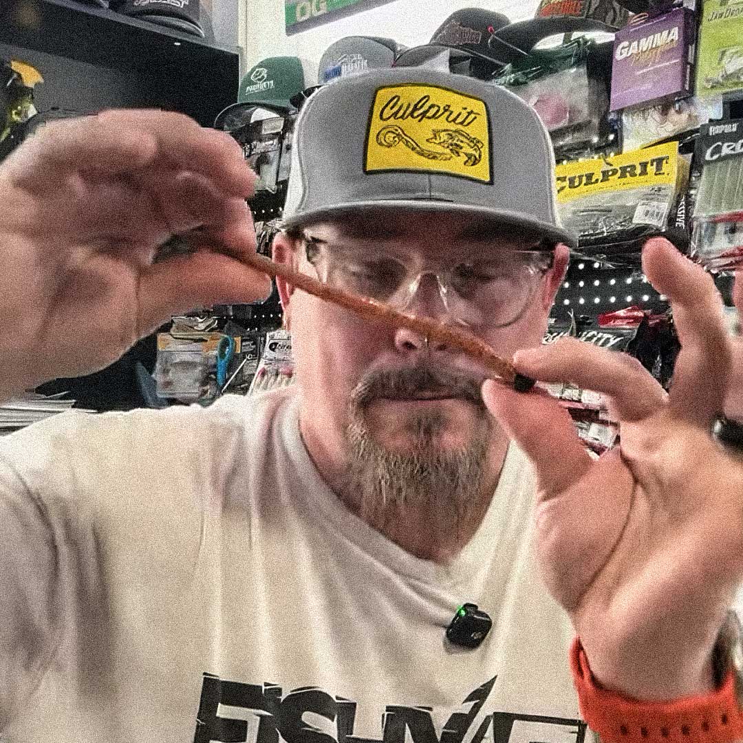 Culprit Fishing tweet media