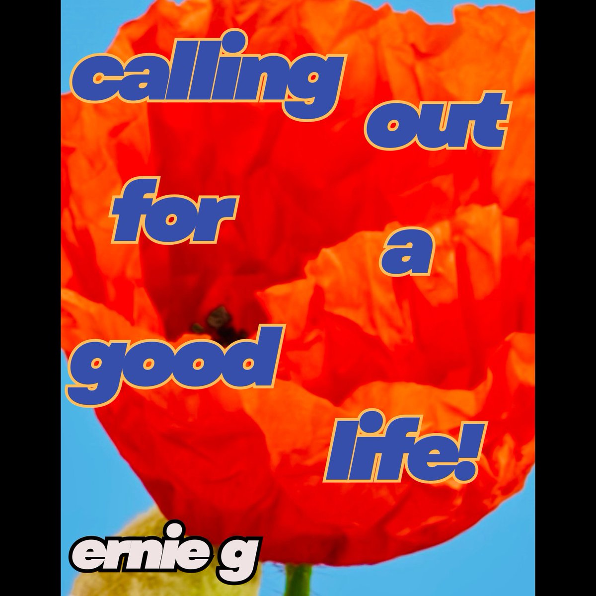 Where the Music Meets tweet media