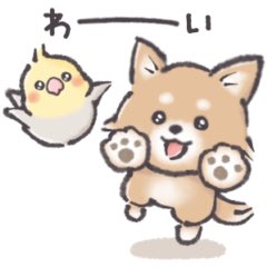 Coo__o's tweet photo. #LINEスタンプ リリースしました🌷💫

使っていただけたら嬉しいです◡̈💗

💠毎日使える☻ペット大好きstamp💠

https://t.co/I3xCgS4bge https://t.co/Ml1Upjg5Kr