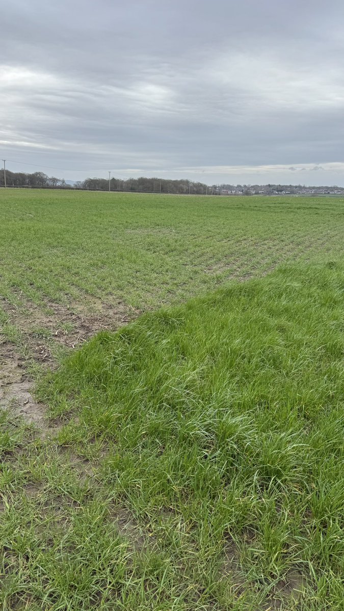 Paul Cawood 🇺🇦 tweet media