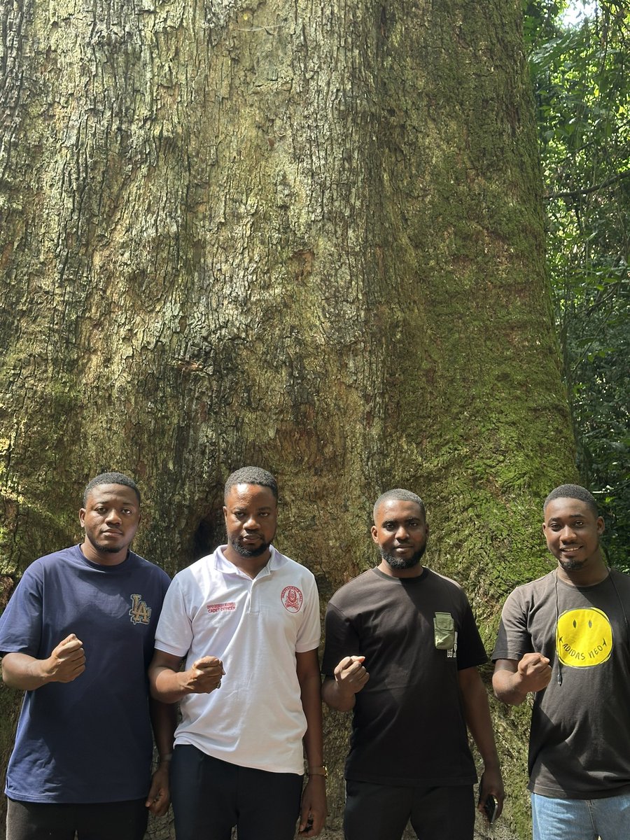 Standing beneath the biggest tree in West Africa, I was really humbled by nature yet strengthened by brotherhood.

Weeks ago I Explored West Africa’s natural wonder located at Akim Oda in eastern region of Ghana together with my solid brothers. 

Quote this tweet if u see urself