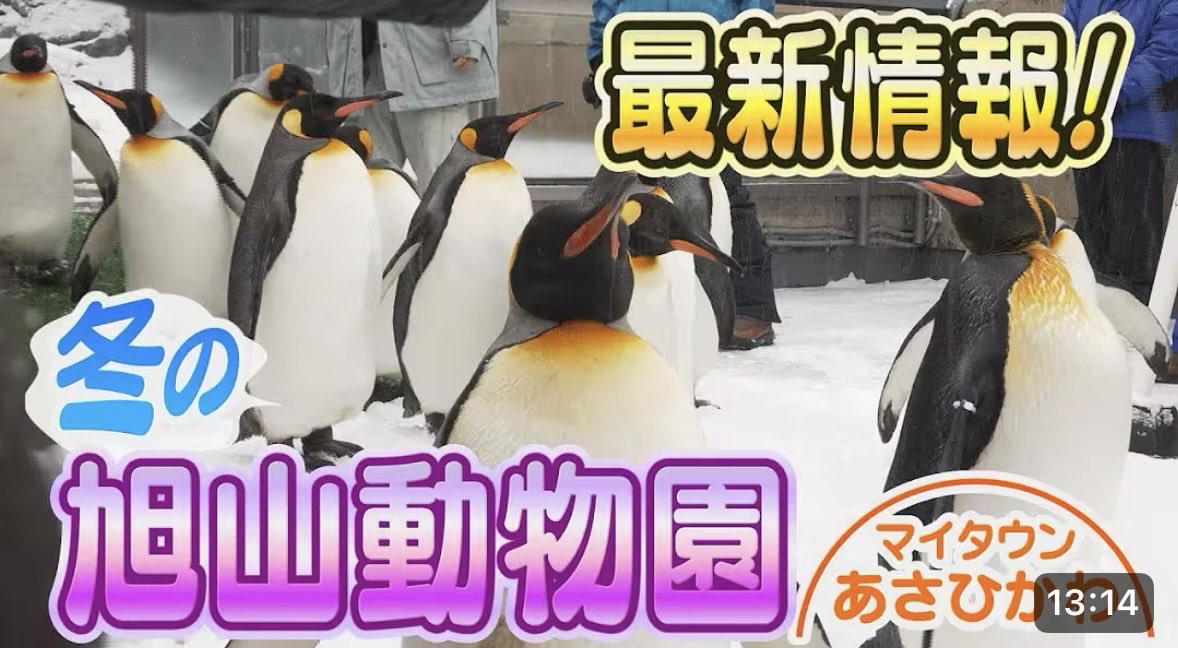 ラフ→チケットひろき tweet media