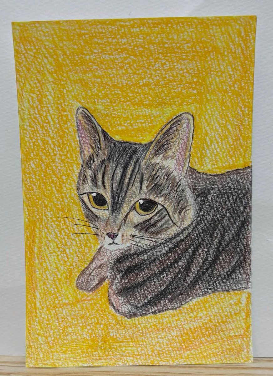 猫の絵 原画 色鉛筆画