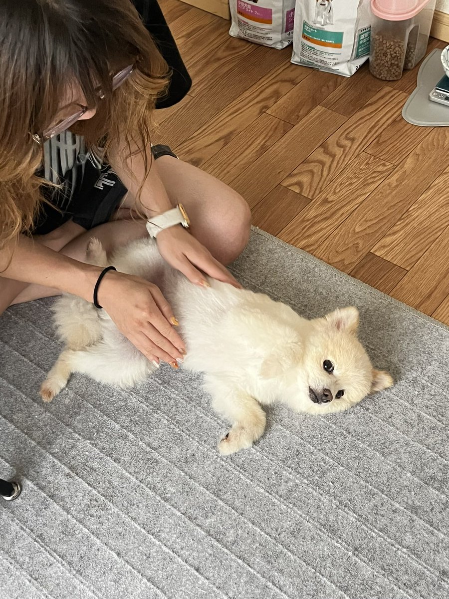 ぽんすけ大先生 (@yuyuyuyumee) / Posts / X