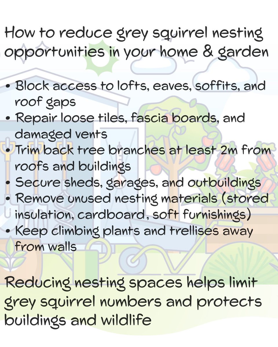 Red Squirrel South-West tweet media