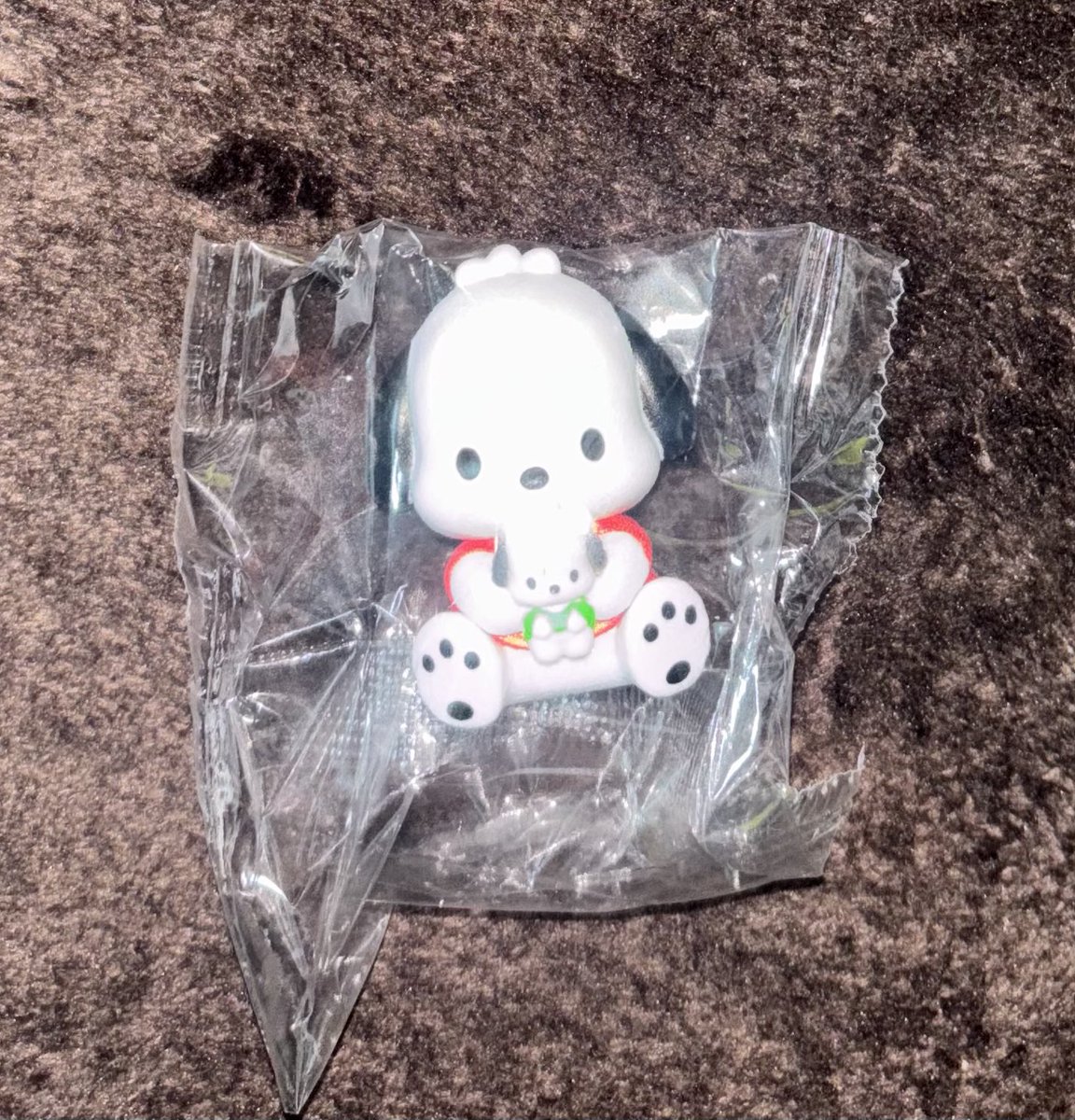 シーズー (@SHI___ZU___) / Posts / X