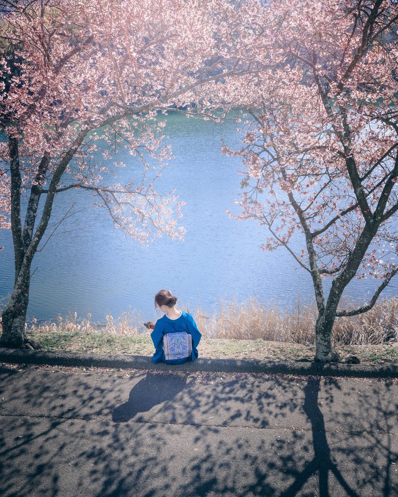 寒桜とメジロの鮮やかさに、一足早く感じる春の気配🌸 📍福成寺（香川