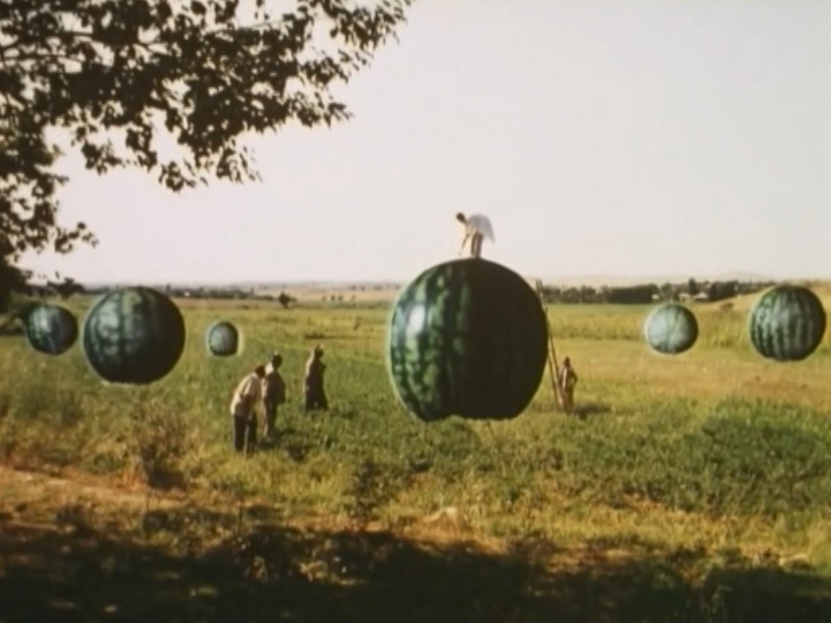 明日2/19㊍ #横浜シネマリン
11:55 #チャック・ベリー
⚠️以下作品㊎まで
10:00 #どうすればよかったか?
13:05 #ただやるべきことを
15:00 #平田雄己監督特集《Lost in Images》ピクニック
16:50 #ぼくの名前はラワン
<中央アジア今昔映画祭>
18:15 #UFO少年アブドラジャン
20:00 #ファリダの二千の歌