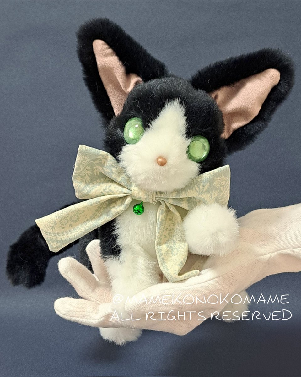 まめこ (@Mamekonokomame) / Posts / X