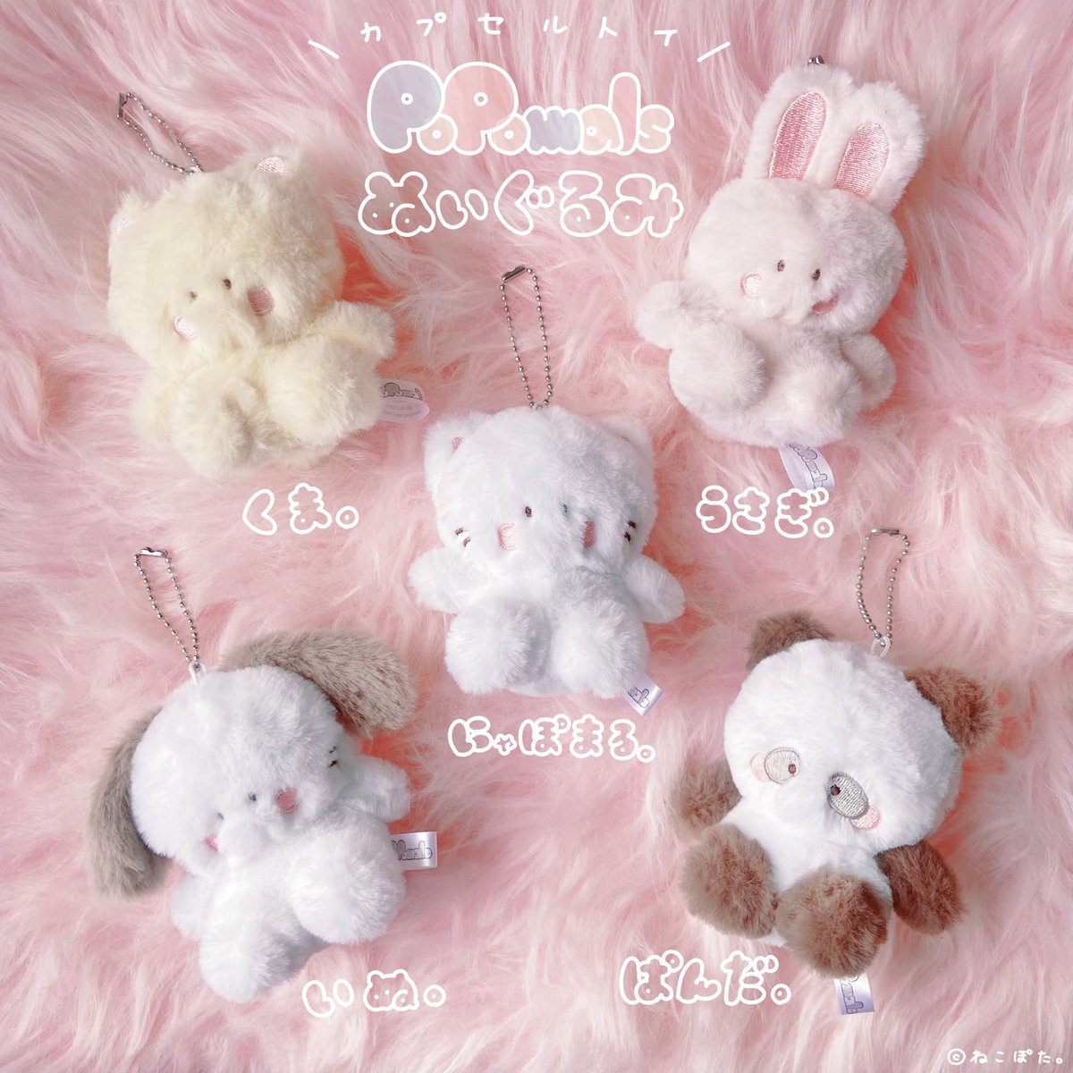 Qualia(クオリア)公式 (@Qualia_45_) / Posts / X