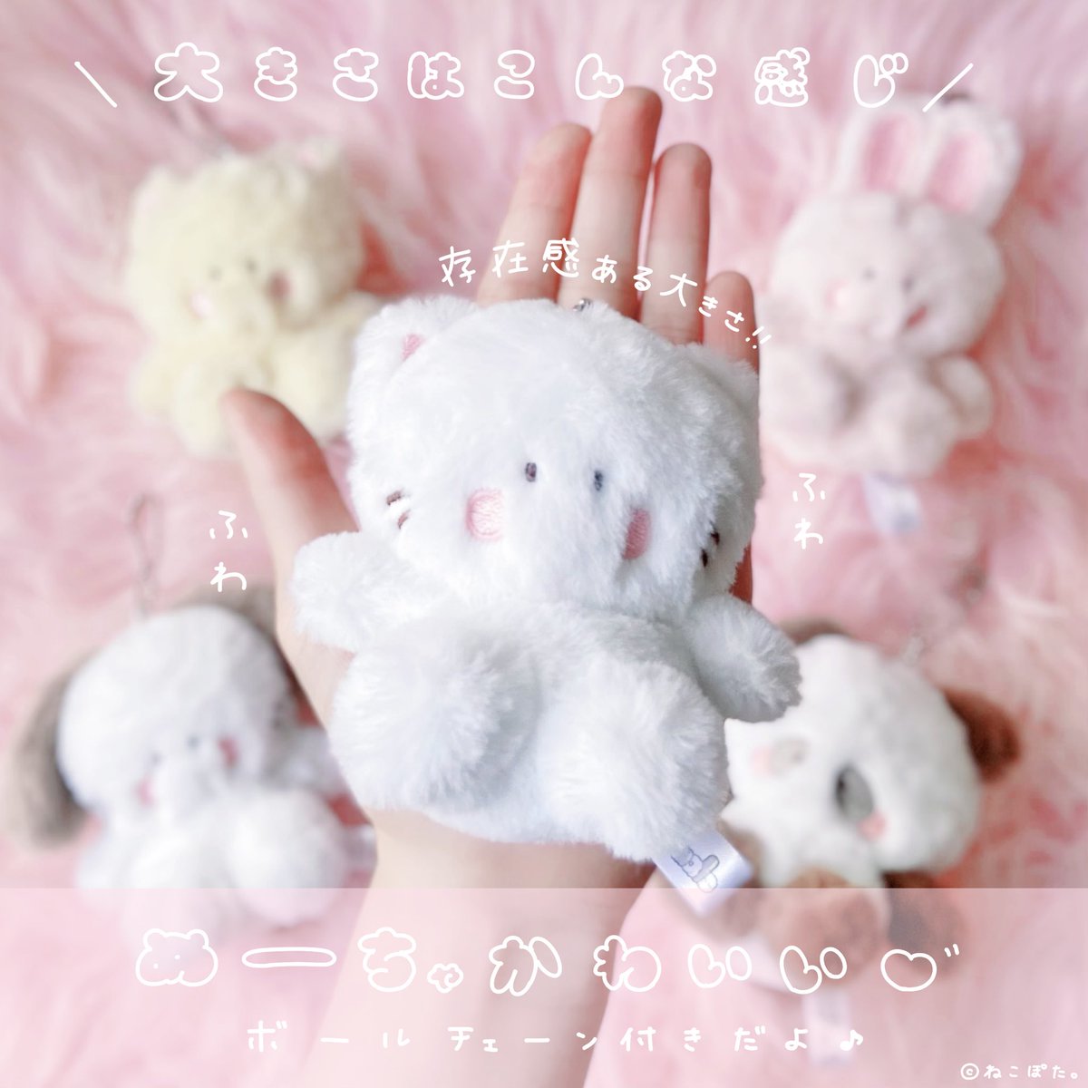 Qualia(クオリア)公式 (@Qualia_45_) / Posts / X