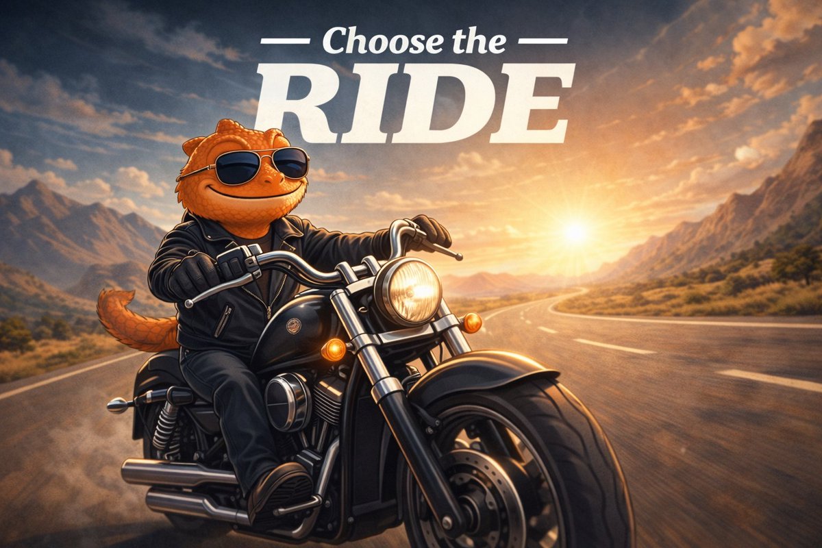 1Choose.fun tweet media