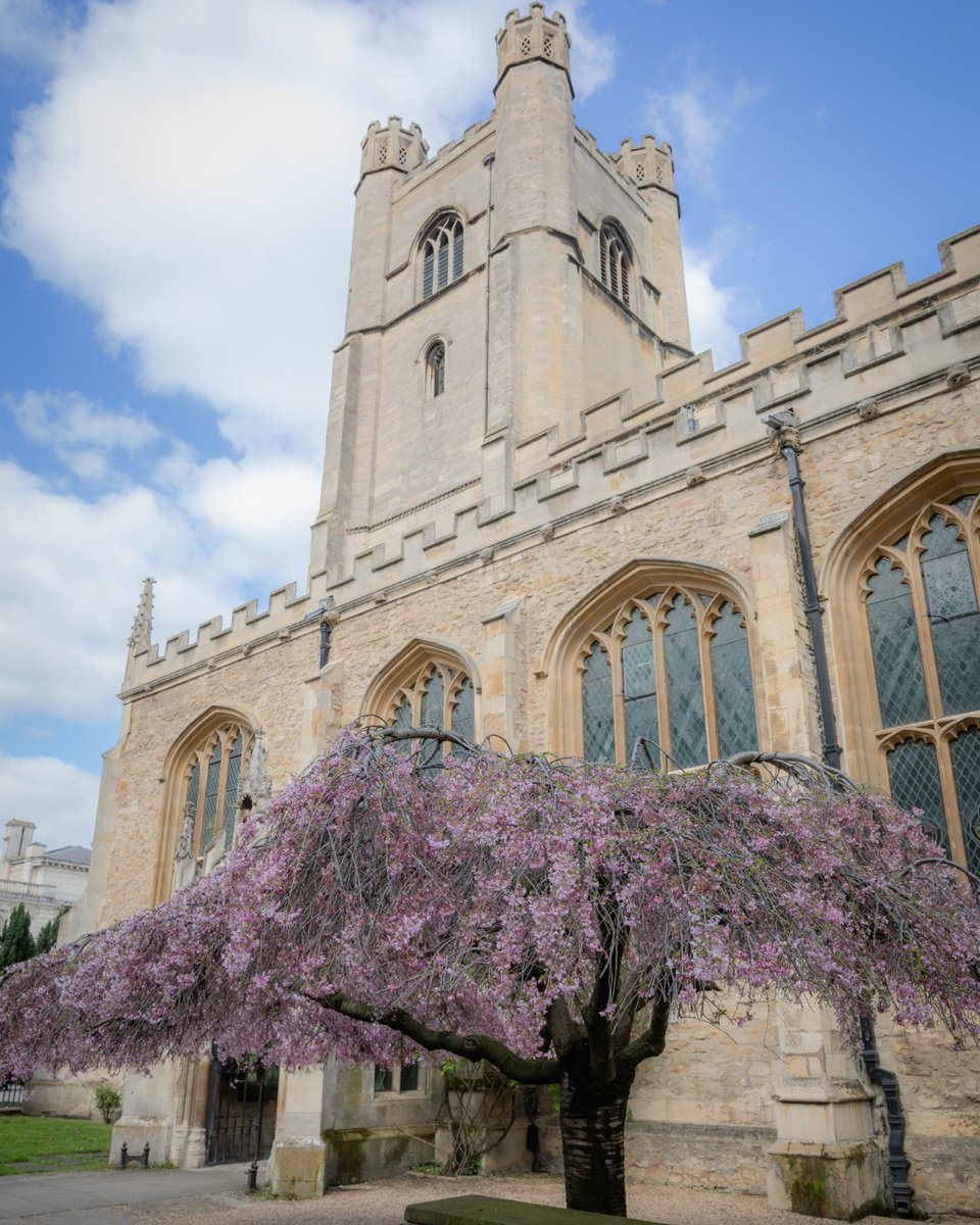 Cambridge_Uni's tweet photo. Lent begins today – a time of prayer, reflection and growing faith 🙏

For our Christian community at Cambridge, everyone is invited to services throughout Lent at @GreatStMarys.

See what's coming up 👇
https://t.co/zey8mXKd2C https://t.co/v6jgjwjVna
