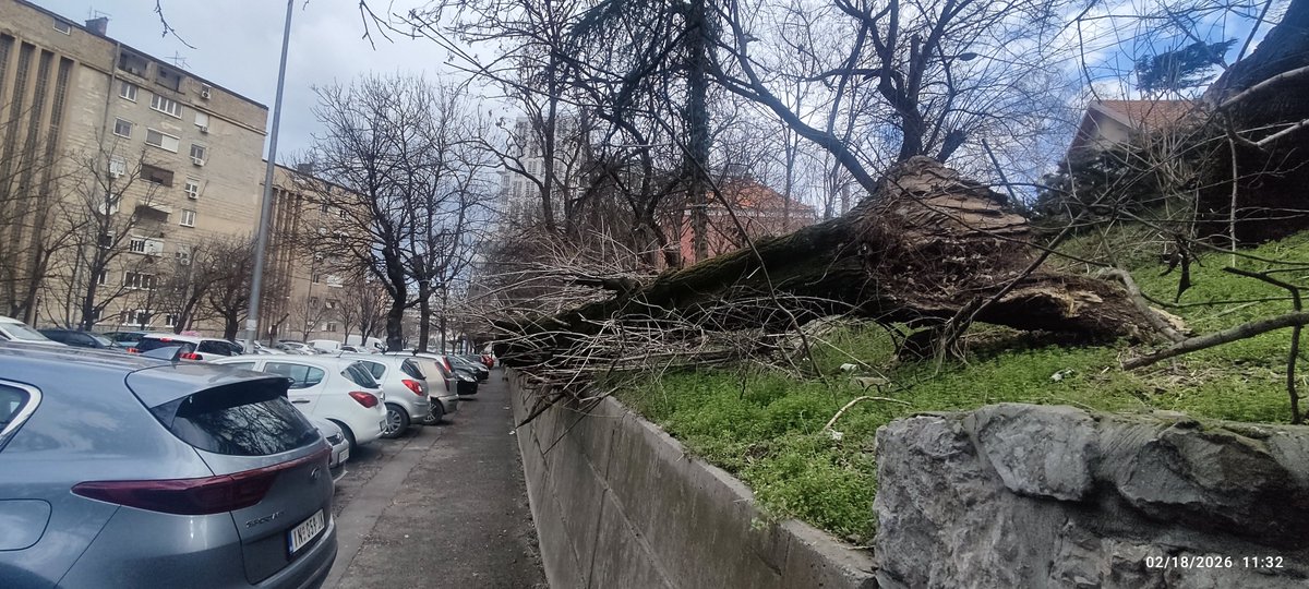 mascia mille tweet media