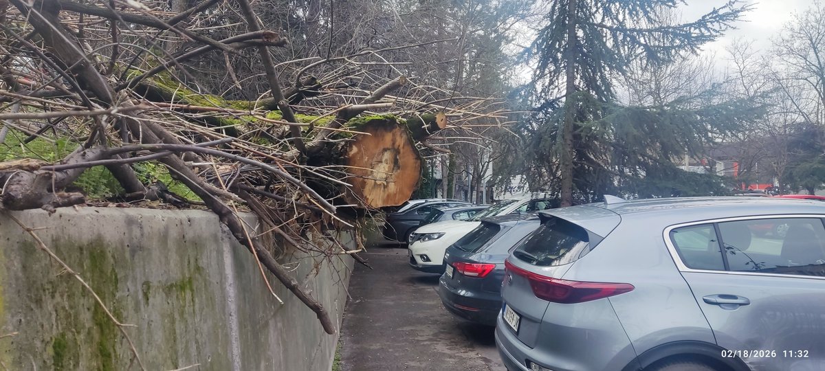 mascia mille tweet media