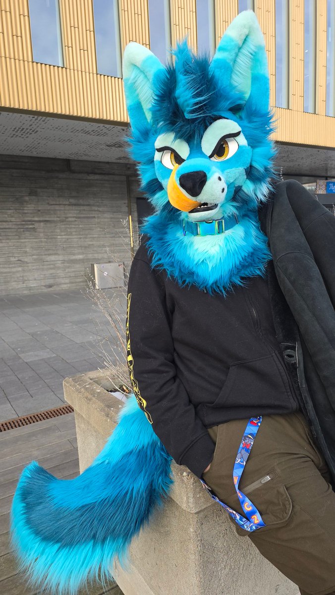 Whitewing Creations tweet media