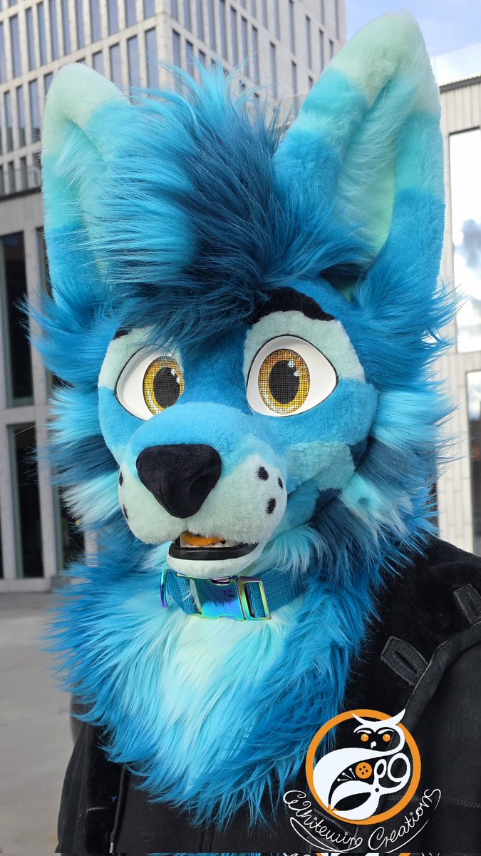 Whitewing Creations tweet media