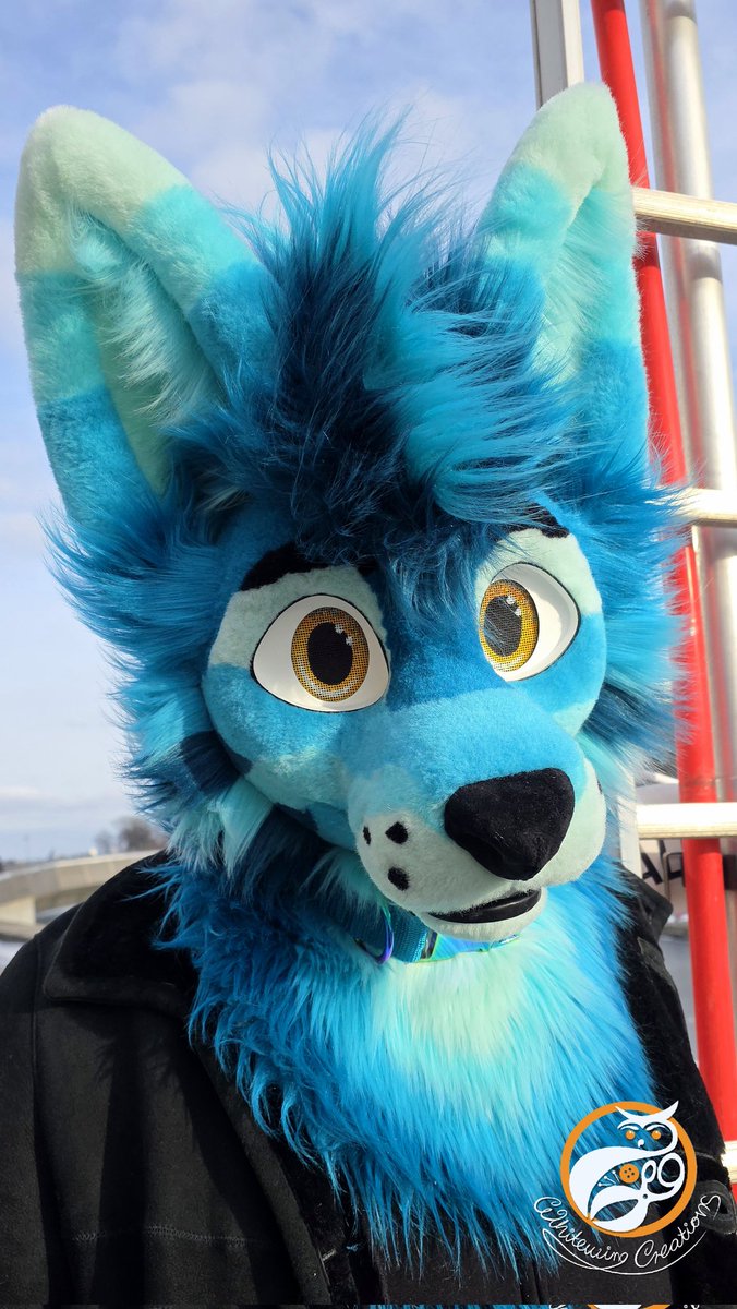 Whitewing Creations tweet media