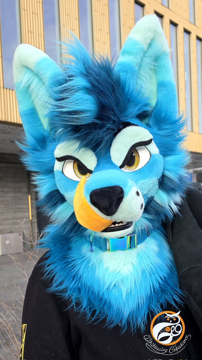 Whitewing Creations tweet media