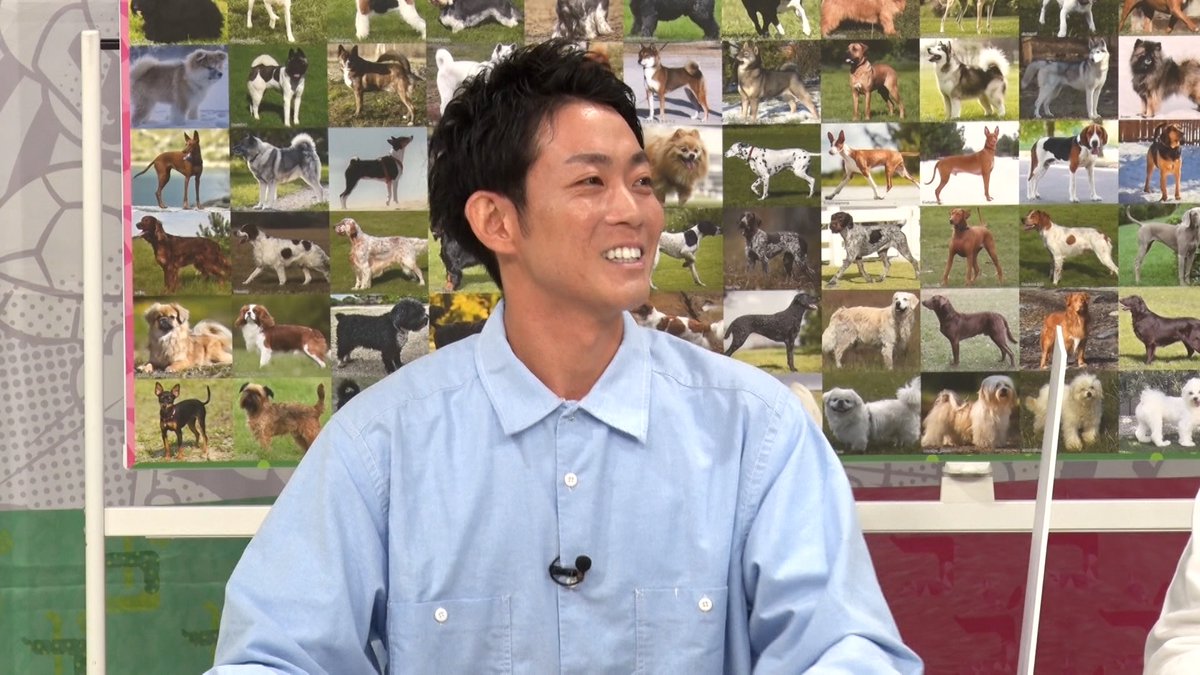 次回の #うさかめ ちょいみせ🦴

🐶209犬種 記憶力対決🐾

史上最大の資料量に悪戦苦闘の対決に…🌀

スタジオでは猫の日にちなんで
犬猫どっち❓クイズに挑戦🐈

📡2月22日（日）夕方4時35分〜⚠️

#草彅剛 #海原やすよともこ 
#QuizKnock #河村拓哉 #北村まゆみ
#ウーイェイよしたか #みながわ