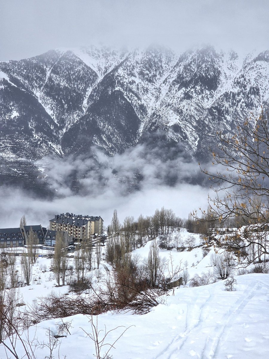 Miguel Angel Salor tweet media