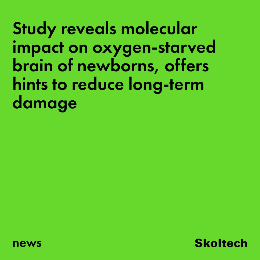 Skoltech tweet media