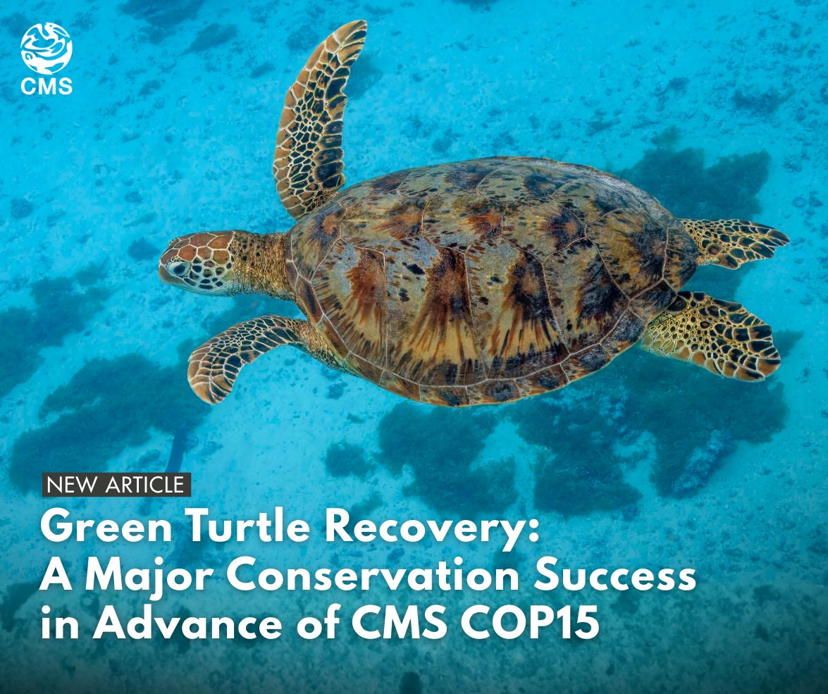 Convention on Migratory Species (CMS) tweet media