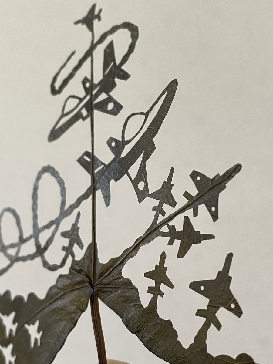 Rui@leafworld tweet media