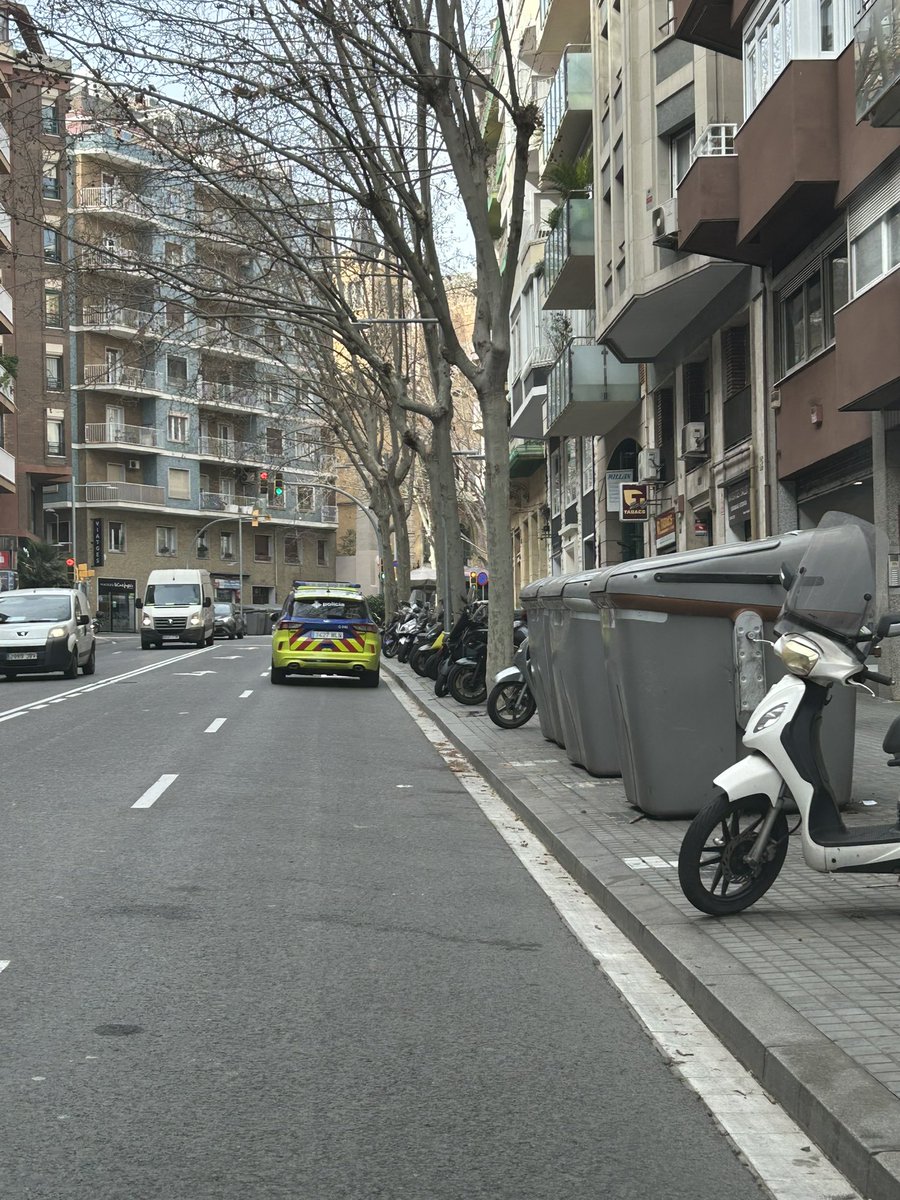 Gorka Knörr Borràs. tweet media